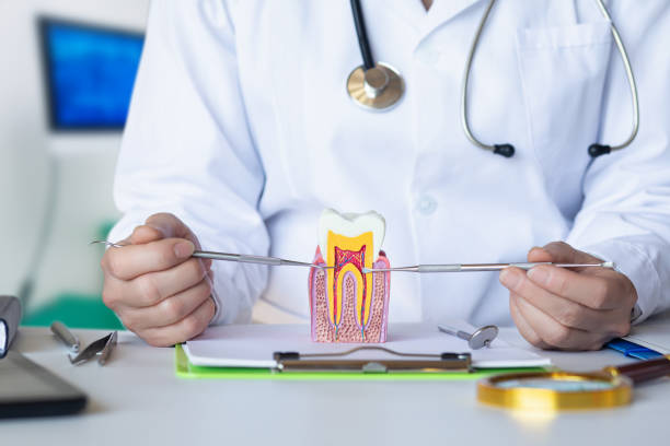 Best Emergency Root Canal Treatment in Byesville, OH